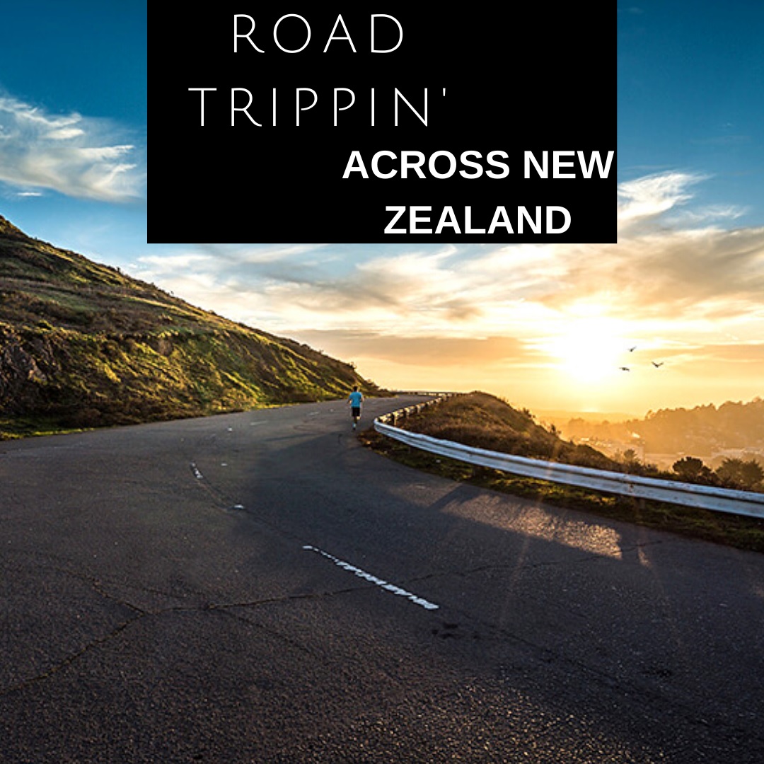 Road Tripping Across New Zealand